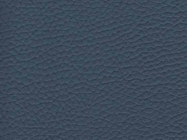 lmporter leather 進口牛皮23系列 真皮 牛皮 沙發皮革 2338 太平洋藍